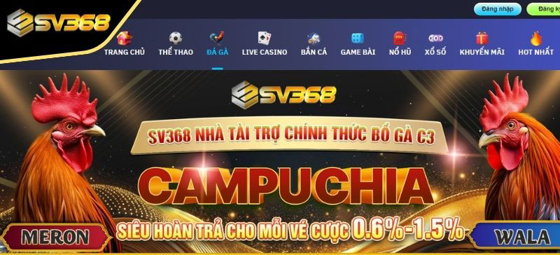 Tổng quan sảnh Đá Gà SV368