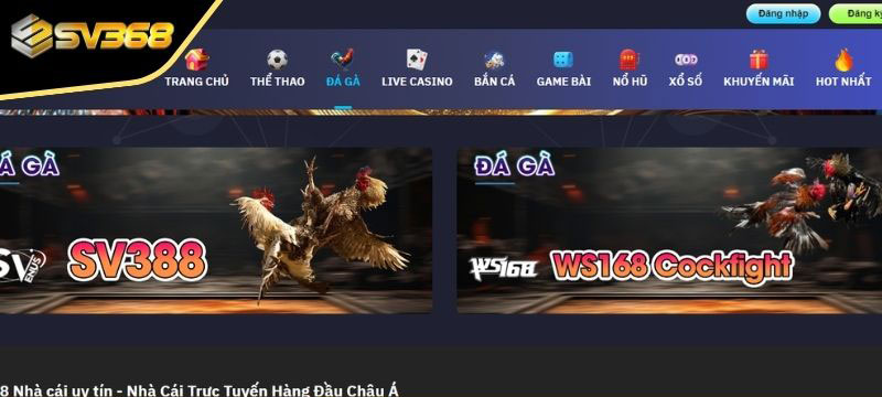 Những siêu phẩm Đá Gà SV368 hot hit nhất hiện nay