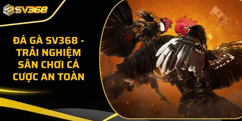 Đá Gà SV368