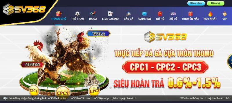 Điều kiện newbie cần thỏa mãn khi đăng ký SV368