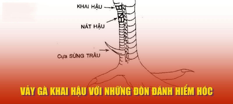 Vảy Gà Khai Hậu với những đòn đánh hiểm hóc