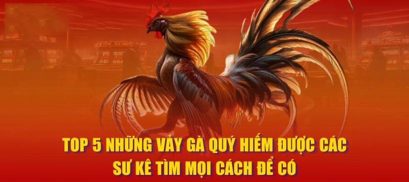 Những Vảy Gà Quý Hiếm