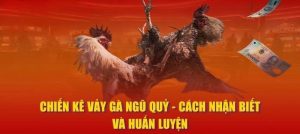 Vảy Gà Ngũ Quỷ Là Gì